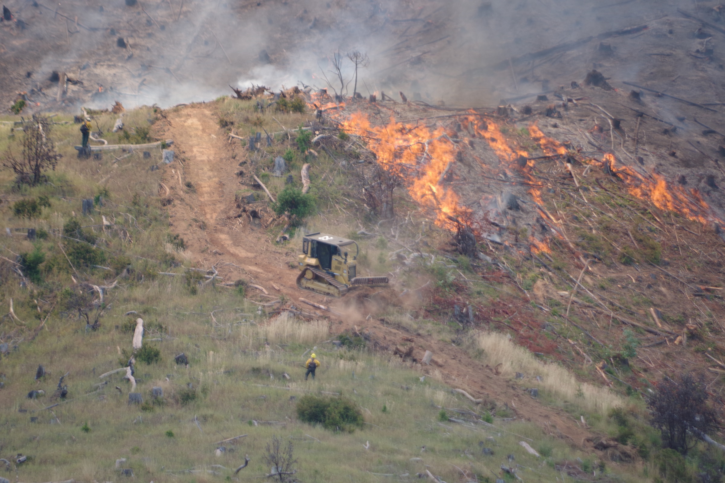 Air and ground resources battle 35-acre wildfire in Douglas County