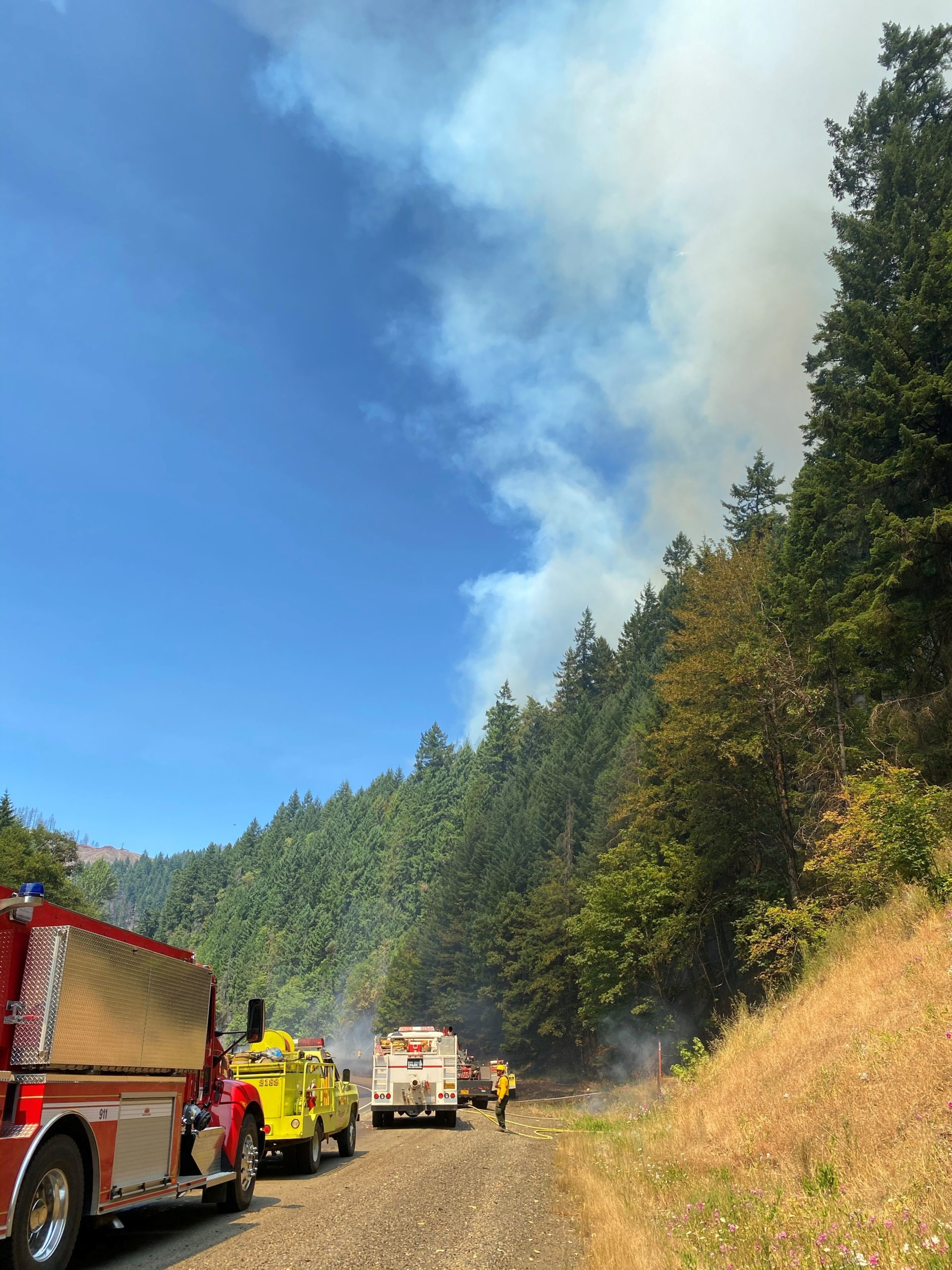 Fire by I-5 in Douglas County stopped at 4.5 acres yesterday