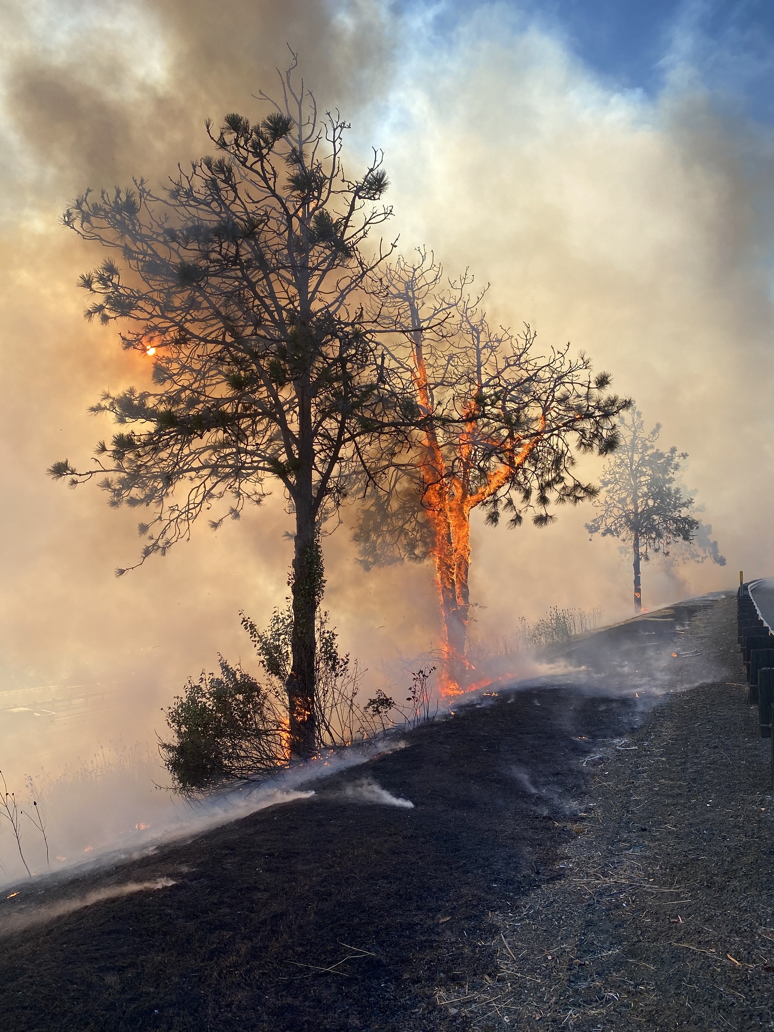 Firefighters in Douglas County stop fire in I-5 median at five acres