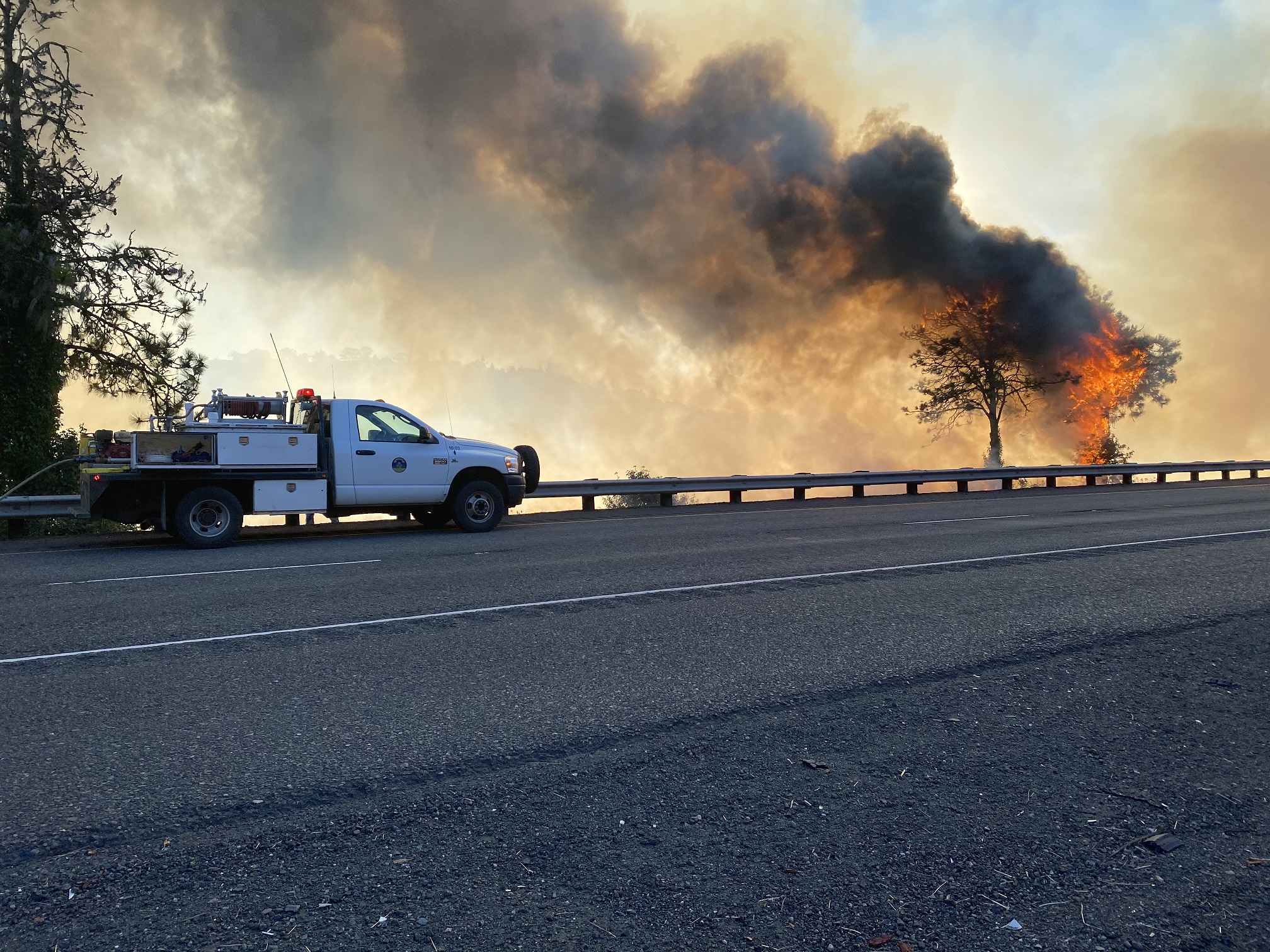 Roadside fire