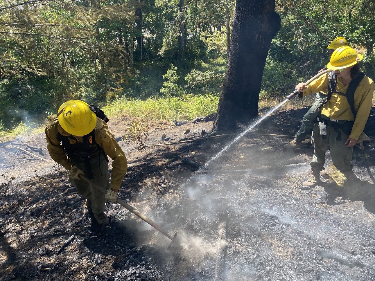 Fuels reduction credited with helping DFPA firefighters quickly stop a wildfire in Douglas County