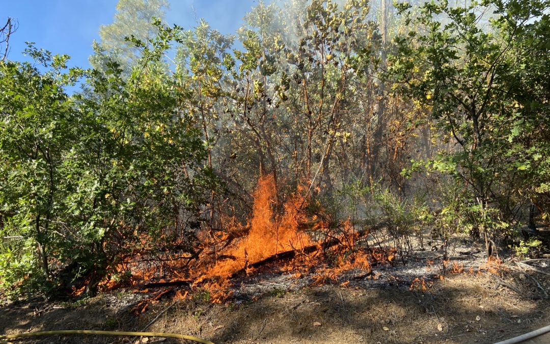 North River Road Fire prompts multi-agency response