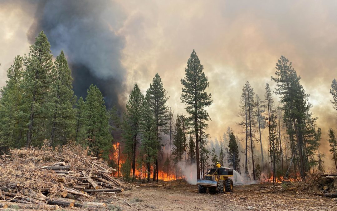 Bootleg Fire now reported as 281,208 acres and 22 percent contained