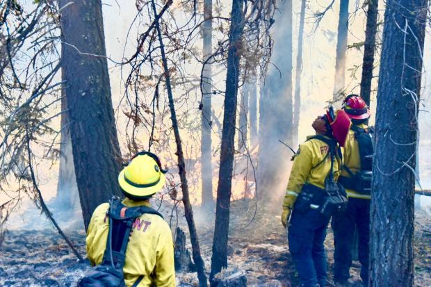 Crews are working to expand and strengthen fire lines on the 413,562-acre Bootleg Fire