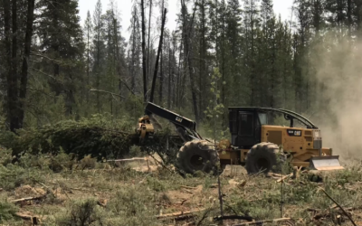 Video shows firefighters building firebreak to try and stop the Bootleg Fire