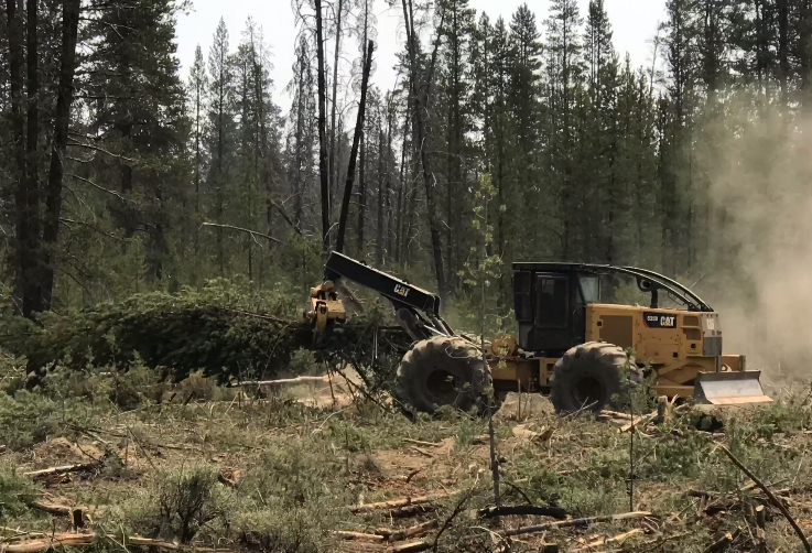 Building firebreak
