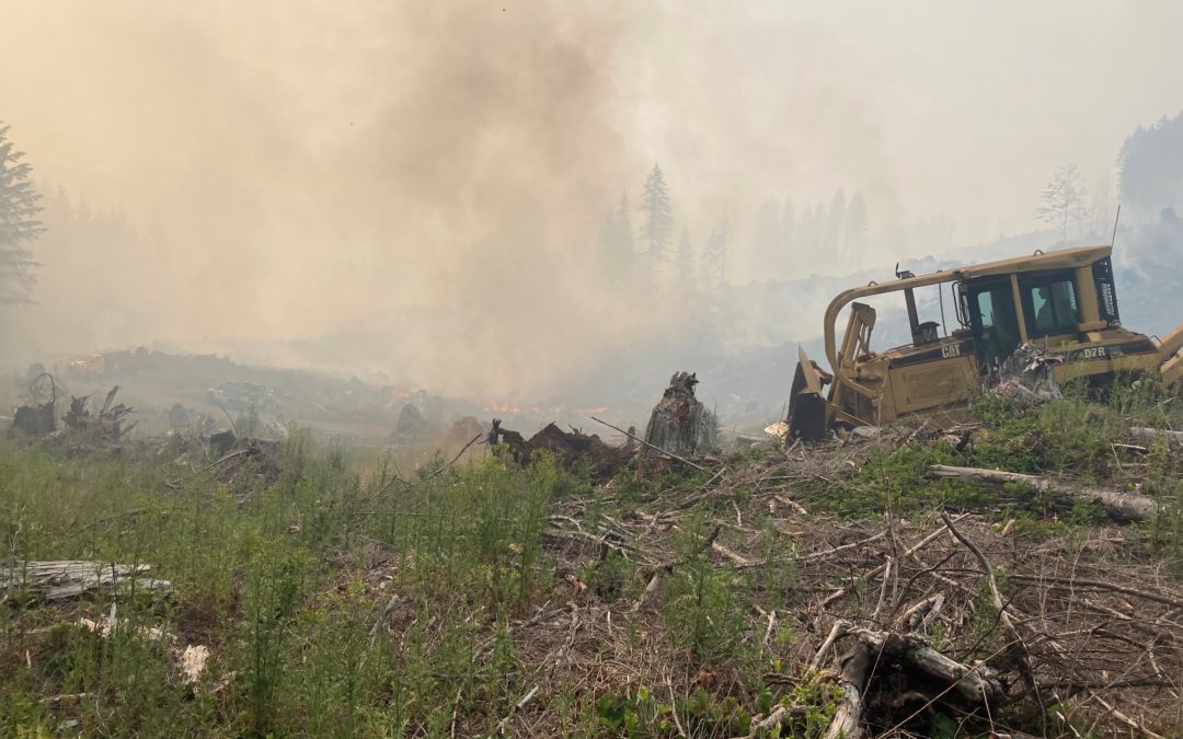 Containment lines are holding on wildfire in the Tillamook State Forest