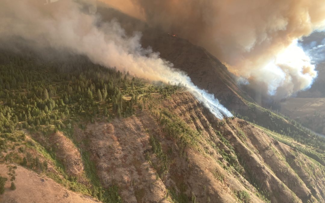 9,000-acre Elbow Creek Fire in the Grande Ronde River drainage pushes to NE