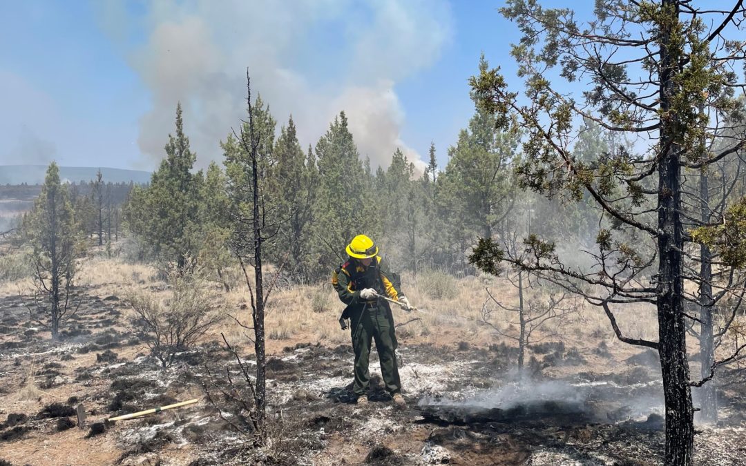 Grandview Fire in central Oregon is now 20 percent contained