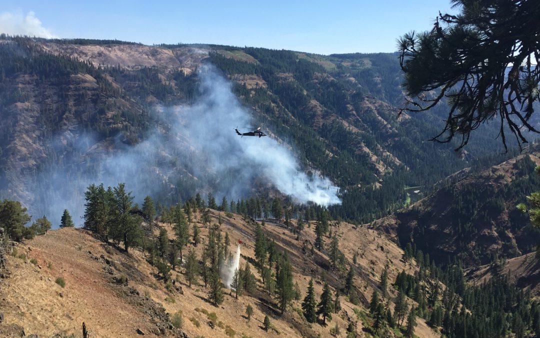 Firefighting resources continue to arrive at the Elbow Creek Fire in NE Oregon