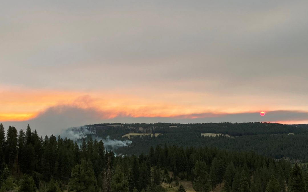 Mapping shows Elbow Creek Fire in NE Oregon to be 10,941 acres
