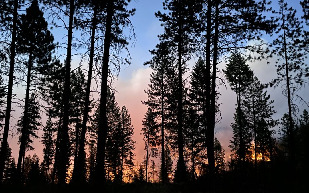 Winds and heat pushed active fire behavior and growth today on the Elbow Creek Fire in NE Oregon