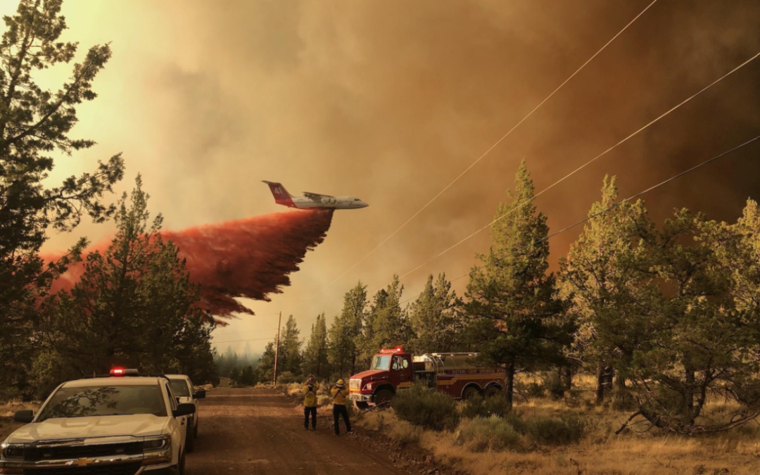 Firefighters made good progress holding lines around Grandview Fire today