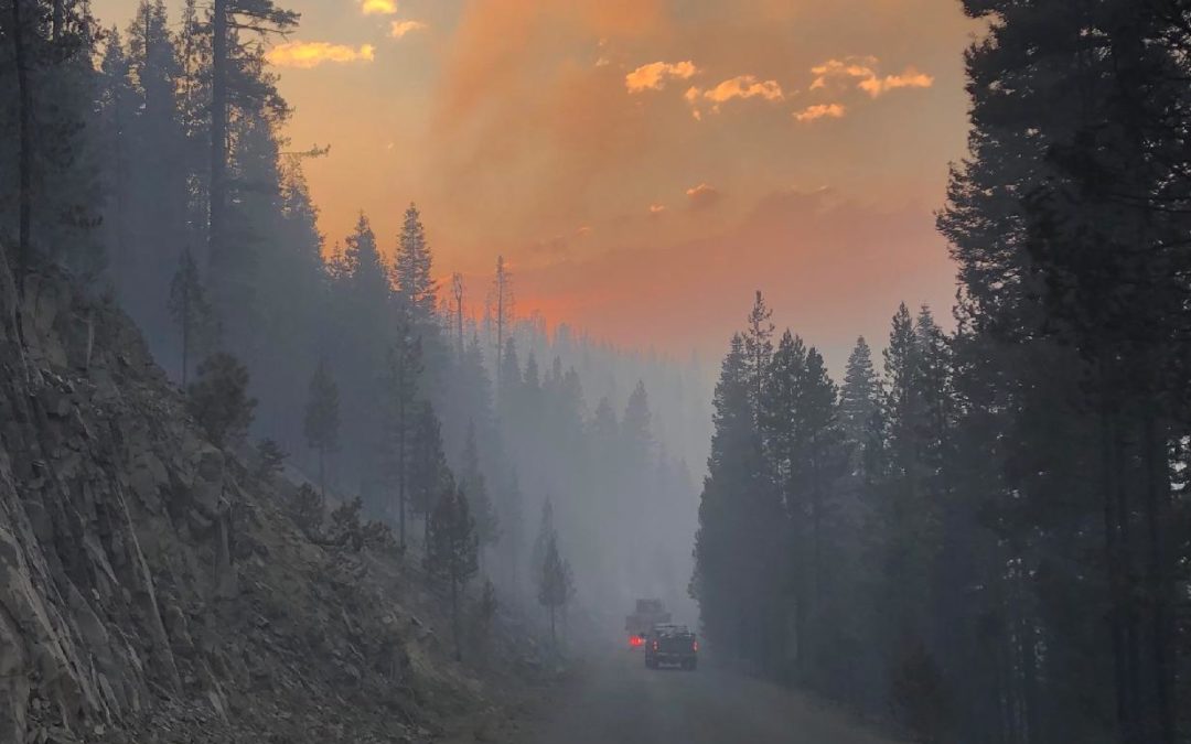 Reduced wind speeds allowed firefighters to make progress on the Bootleg Fire