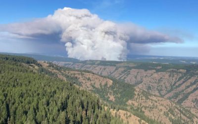 Steep slopes present challenges for firefighters, out of state resources arrive to the Elbow Creek Fire
