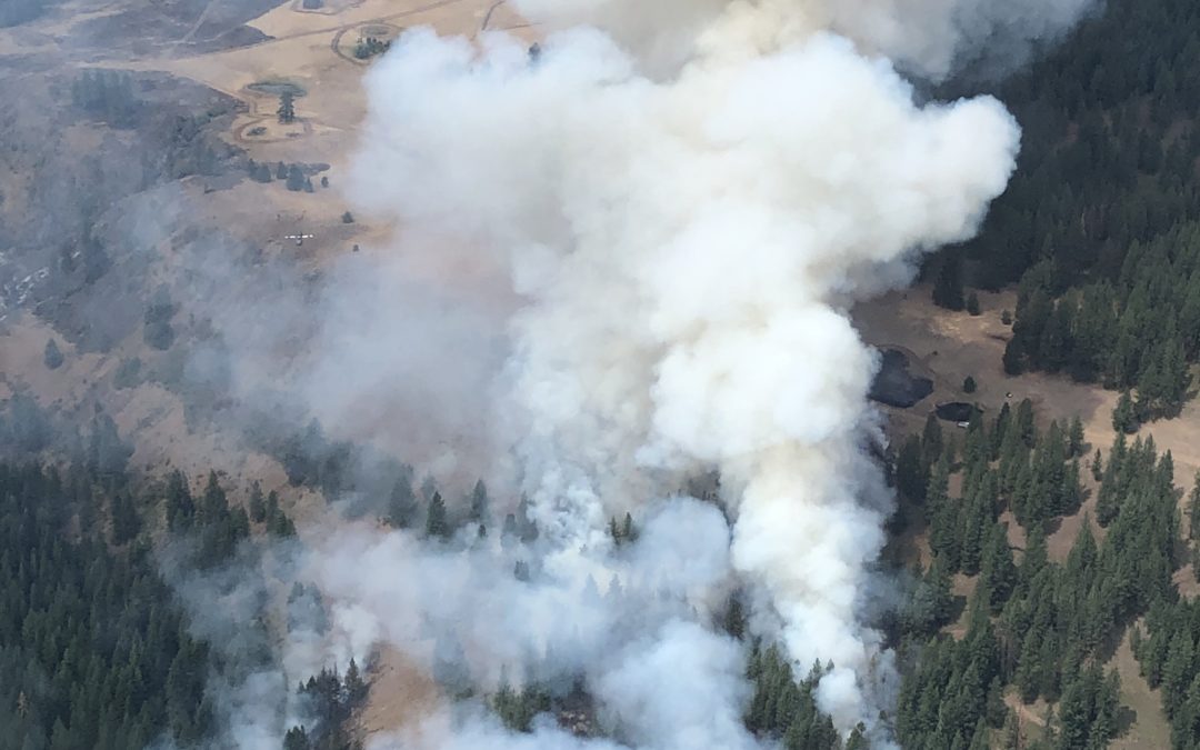 Elbow Creek Fire is estimated at 18,599 acres and is 20 percent contained