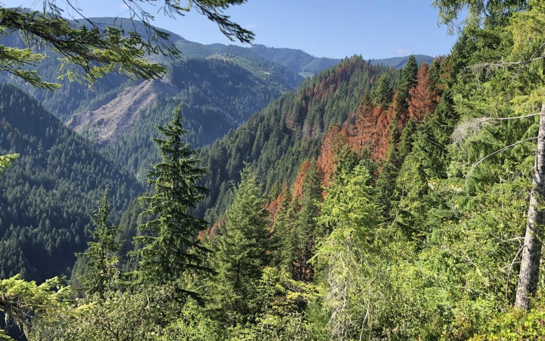 Game Hog Creek Fire update for Wednesday, July 21