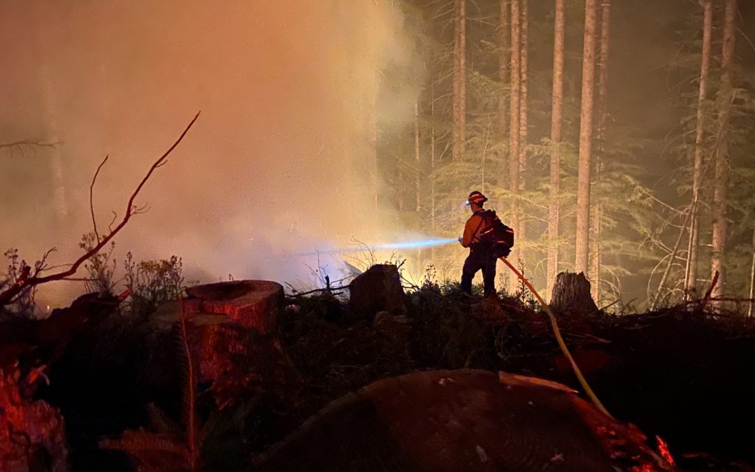 ODF engaging on Game Hog Creek Fire in the Tillamook State Forest