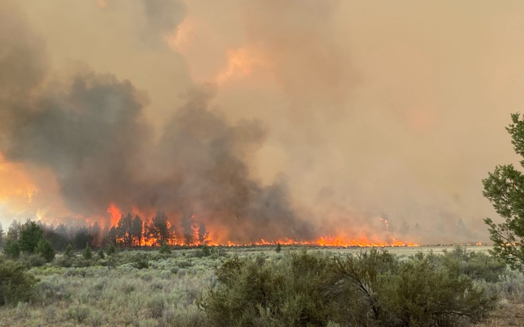 Grandview Fire is estimated at 5,723 acres and 5 percent contained