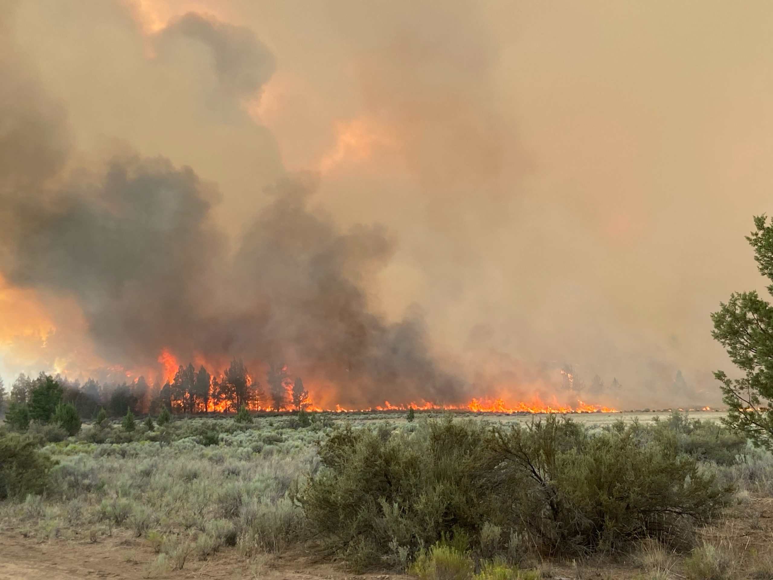Fire on the landscape