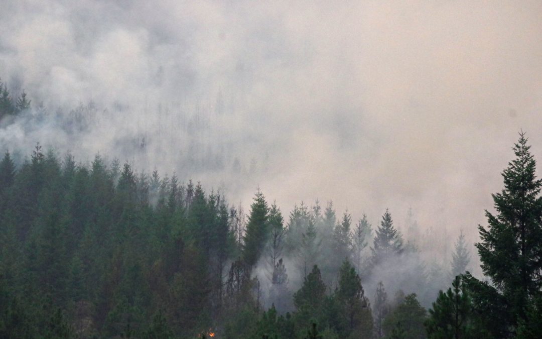 Skyline Ridge Complex: Firefighters increase control efforts on Poole Creek Fire