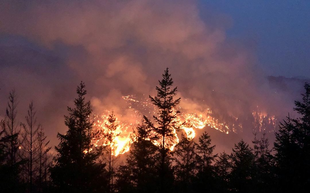 Skyline Ridge Complex: Firefighters Plan to Extend Burnout on Poole Creek Fire
