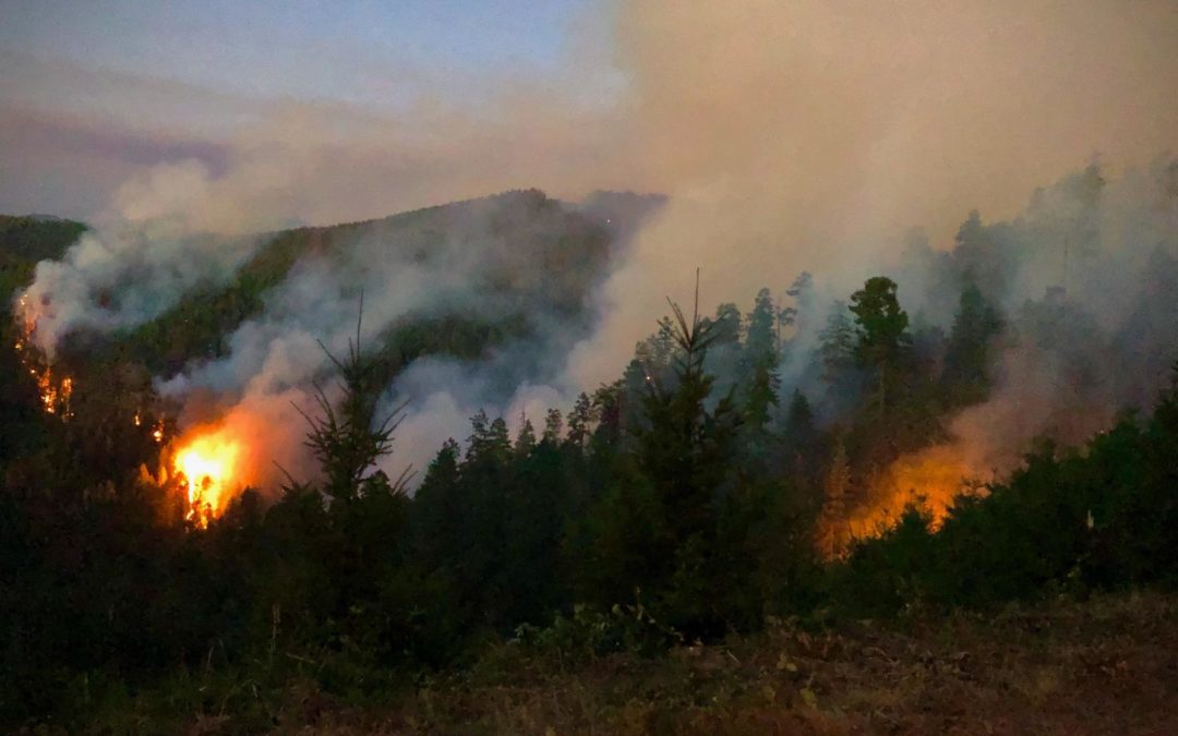 Firefighters begin control strategy for largest fire in Skyline Ridge Complex