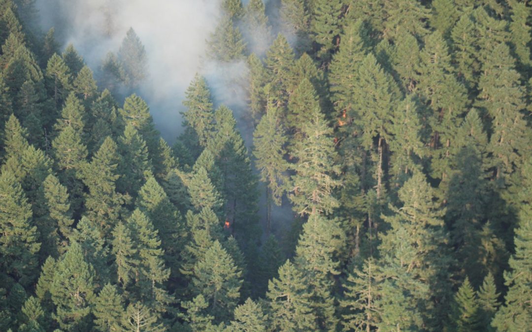 Crews on Skyline Ridge Complex hold small fires, actively engaging larger fires