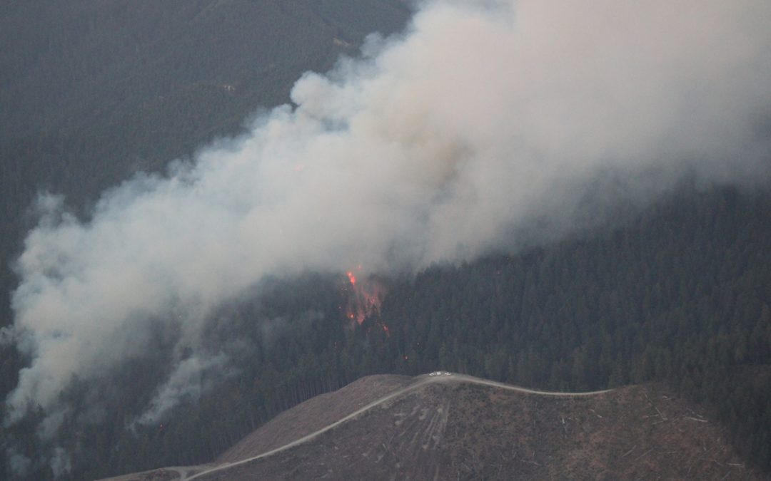 Skyline Ridge Complex encompasses numerous fires in Douglas County