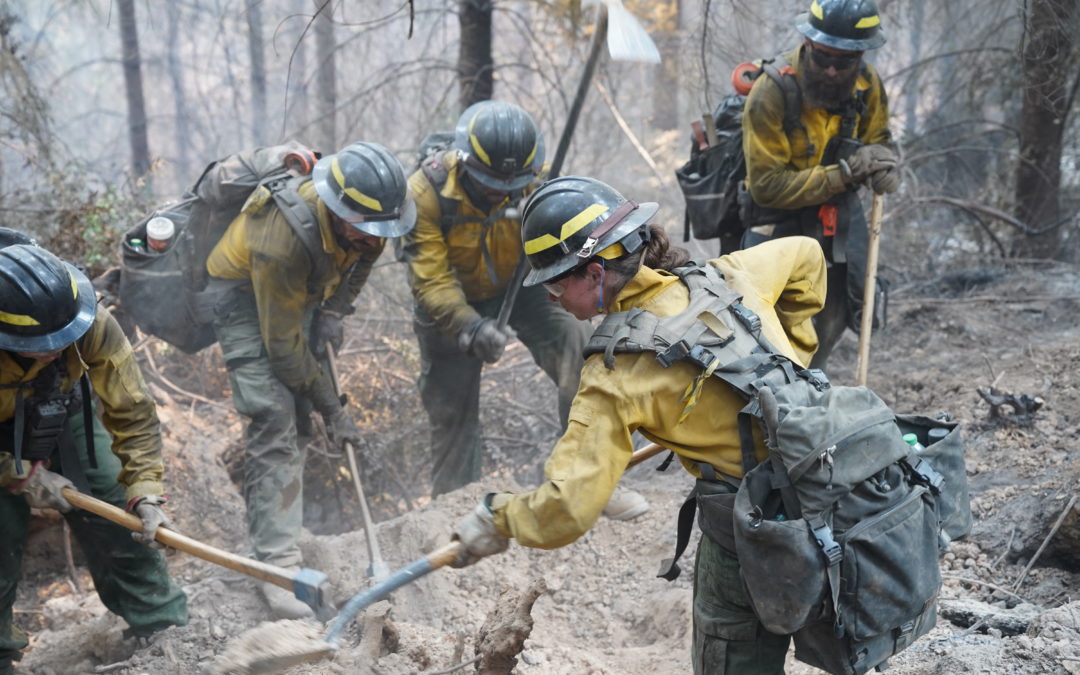 Skyline Ridge Complex: Firefighters Succeed in Fully Lining Poole Creek Fire