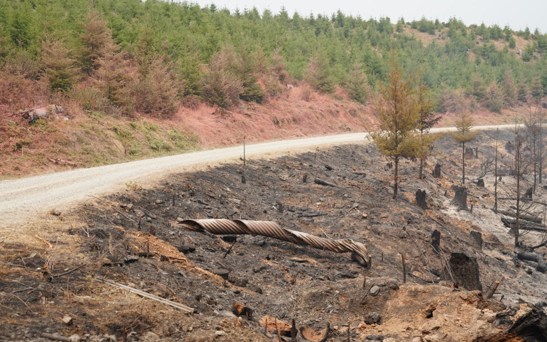 Skyline Ridge Complex is declared 100 percent contained