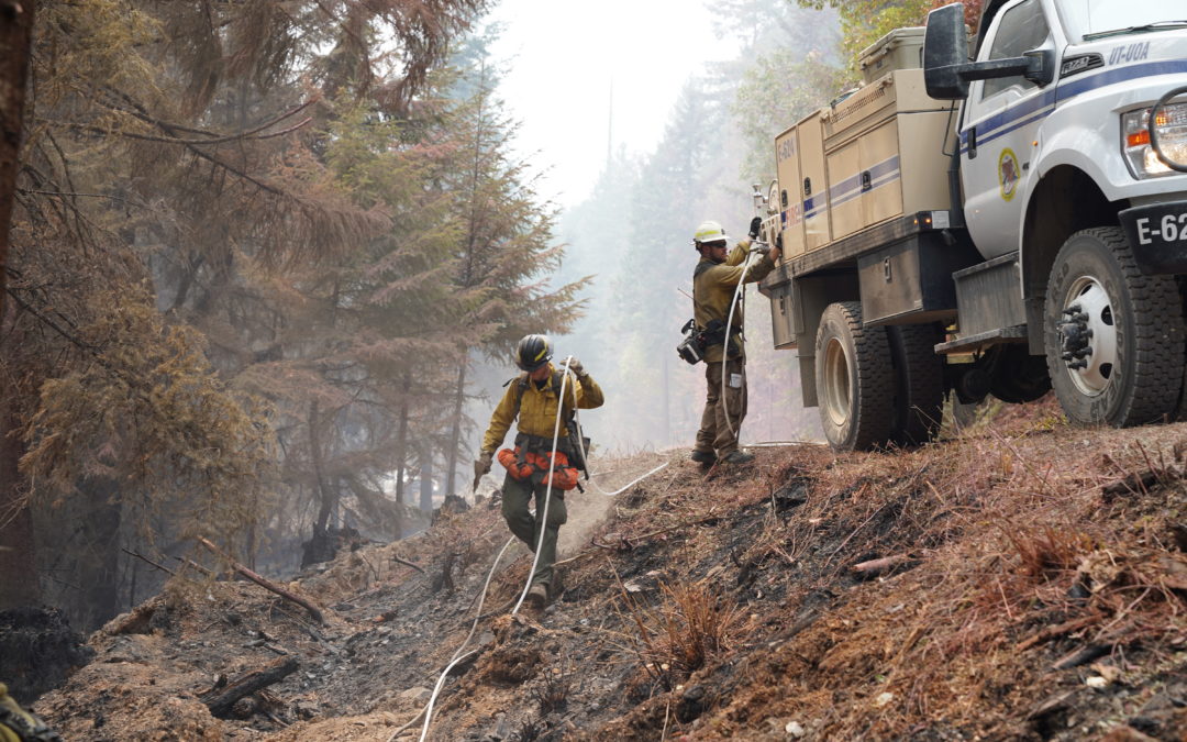 Skyline Ridge Complex Fire: Showers help firefighters extinguish fires