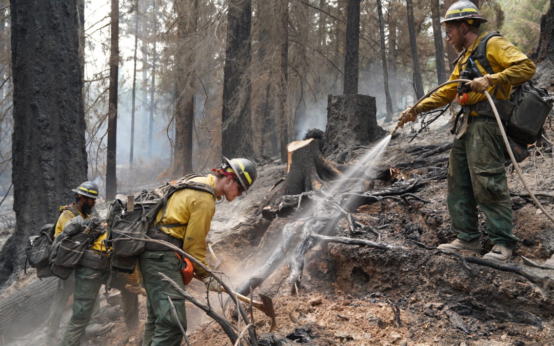 Skyline Ridge Complex now 97 percent contained with fire suppression repair underway