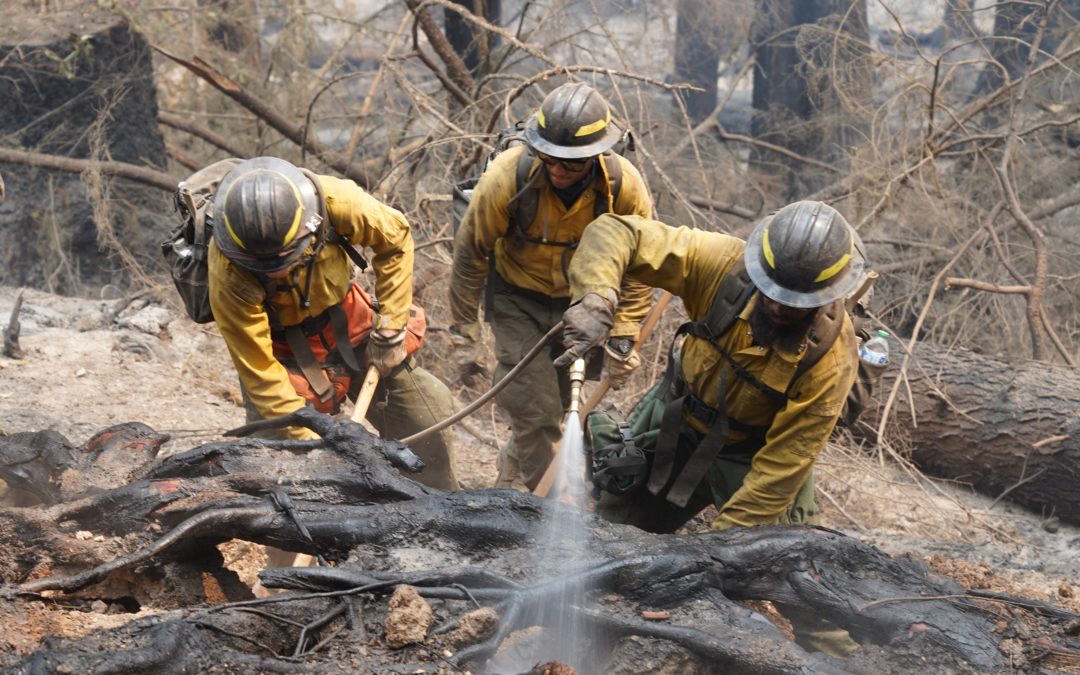 Skyline Ridge Complex: Firefighters plan more burn outs to secure flanks of Poole Creek Fire