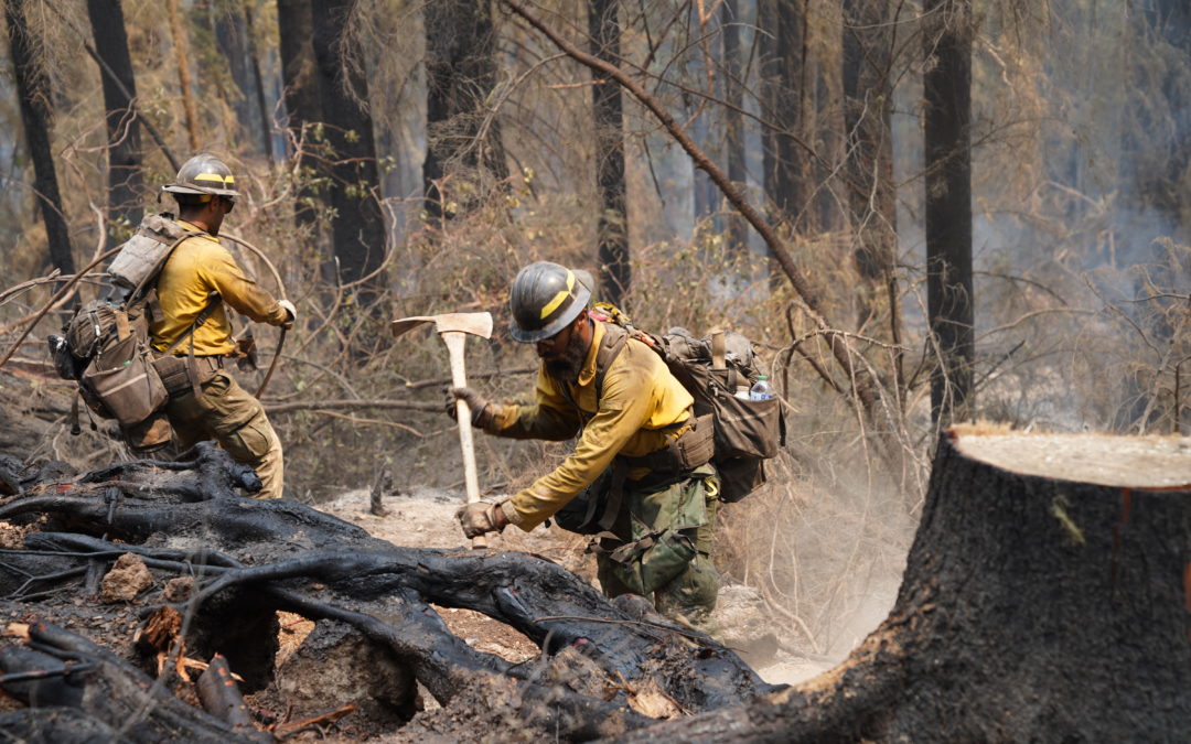 Winds test Skyline Ridge Complex and Poole Creek Fire