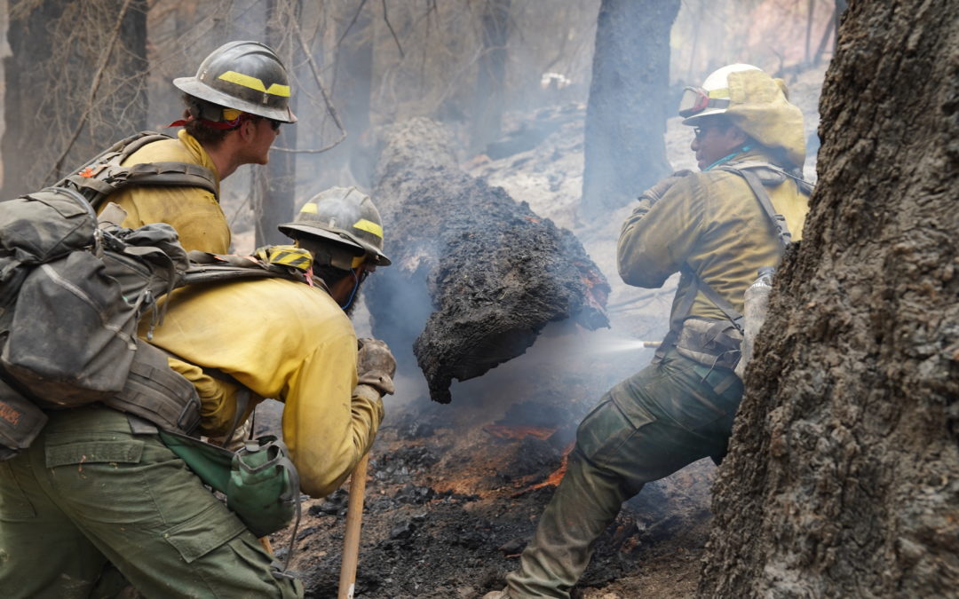 Skyline Ridge Complex: Active suppression and burn out operations on Poole Creek