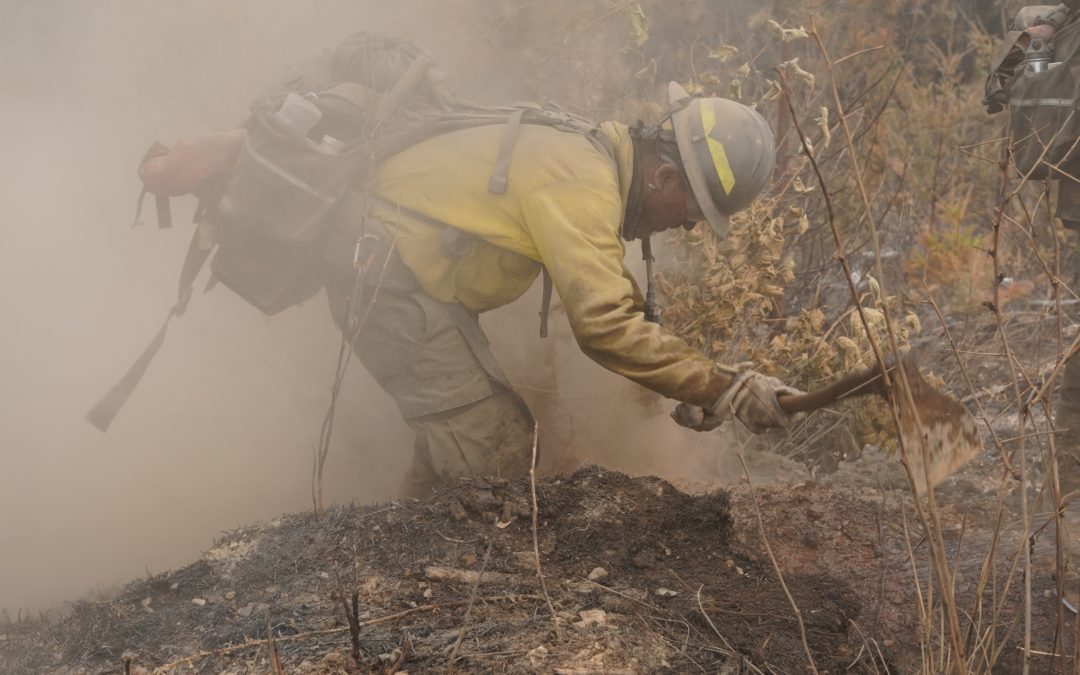 Skyline Ridge Complex: Fire Crews Strengthen Control Lines on Poole Creek Fire