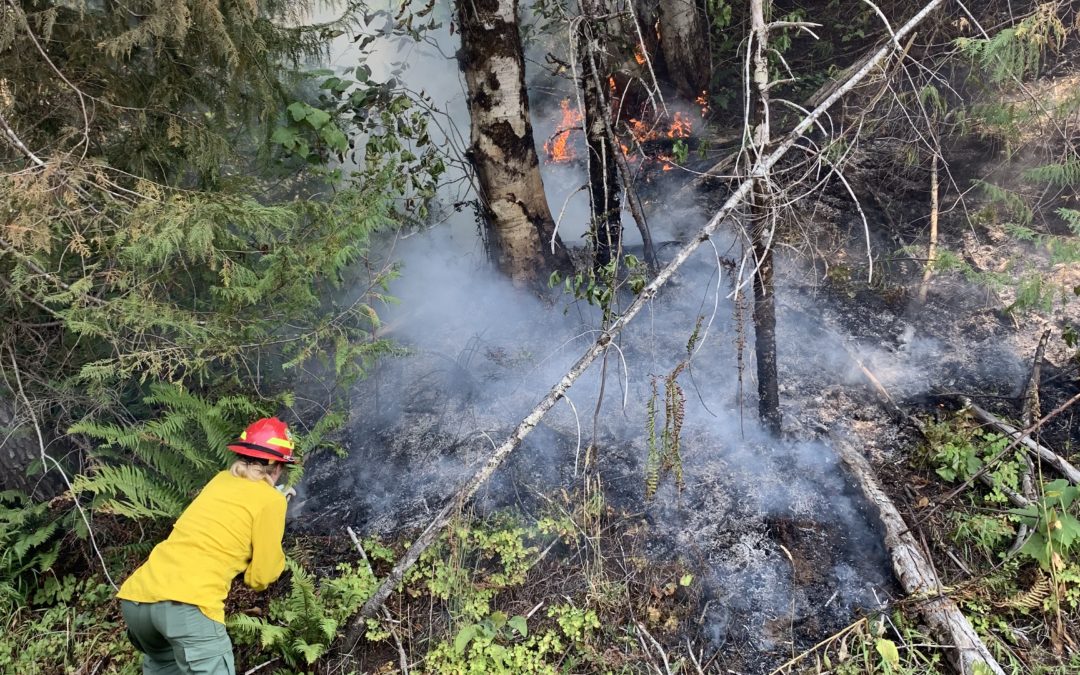 Cedar Butte Fire in Tillamook State Forest estimated at 60 acres and 10% containment, no structures threatened