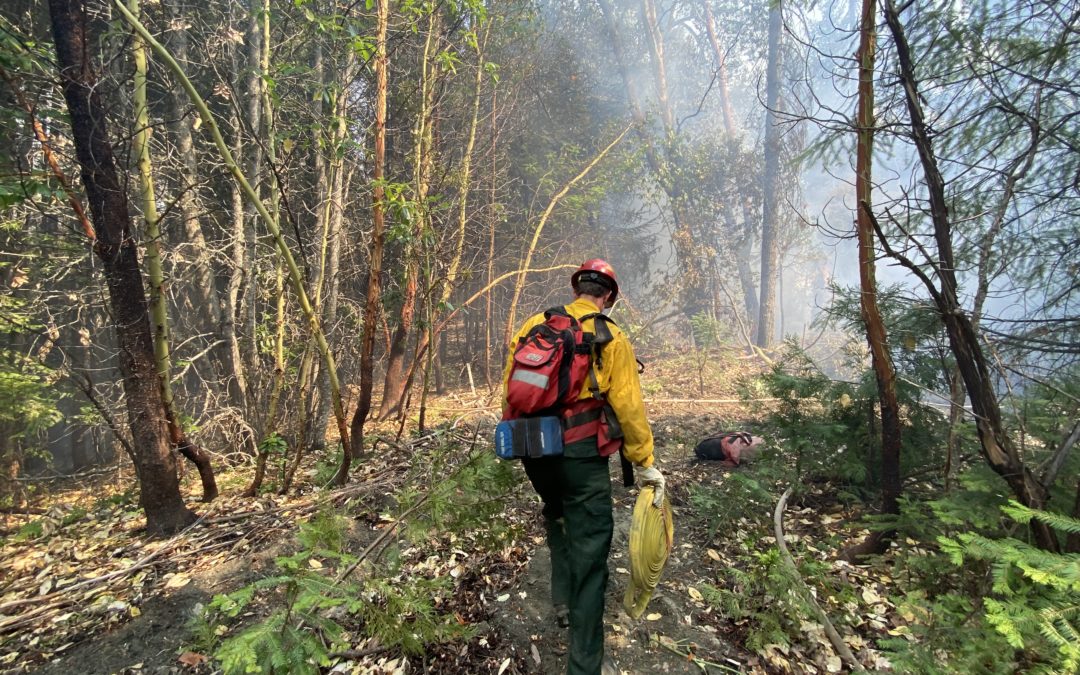 Firefighters continue to hold multiple fires to small sizes across ODF’s SW Oregon District