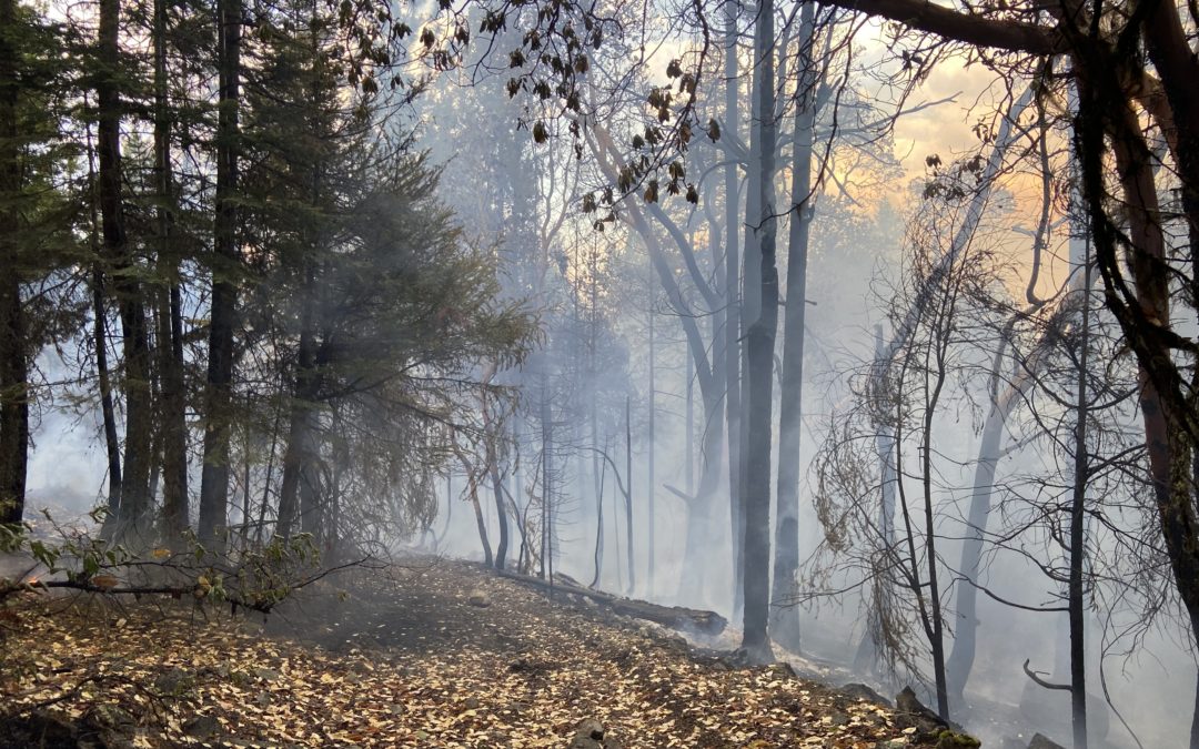 ODF infrared flight finds two new fires overnight