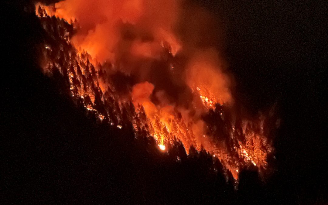 ODF Incident Management Team 1 is deploying to help with lightning-related fires in Douglas County
