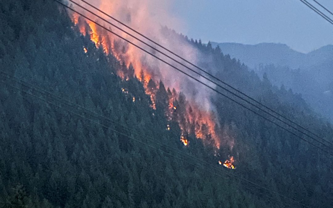 Lightning sparks multiple fires in DFPA district in southern Oregon