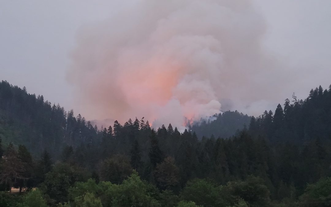 Skyline Ridge Complex: Fire Crews Strengthen Control Lines on Poole Creek Fire