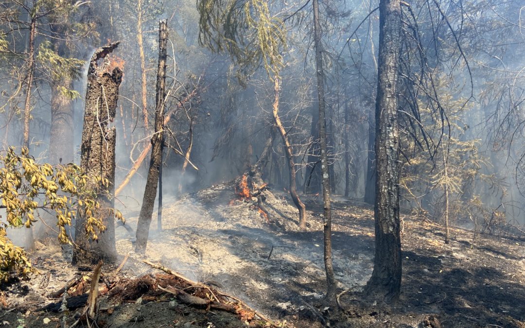 New Fires Found as Firefighters Up Containment on Active Incidents While Assisting Neighboring Districts