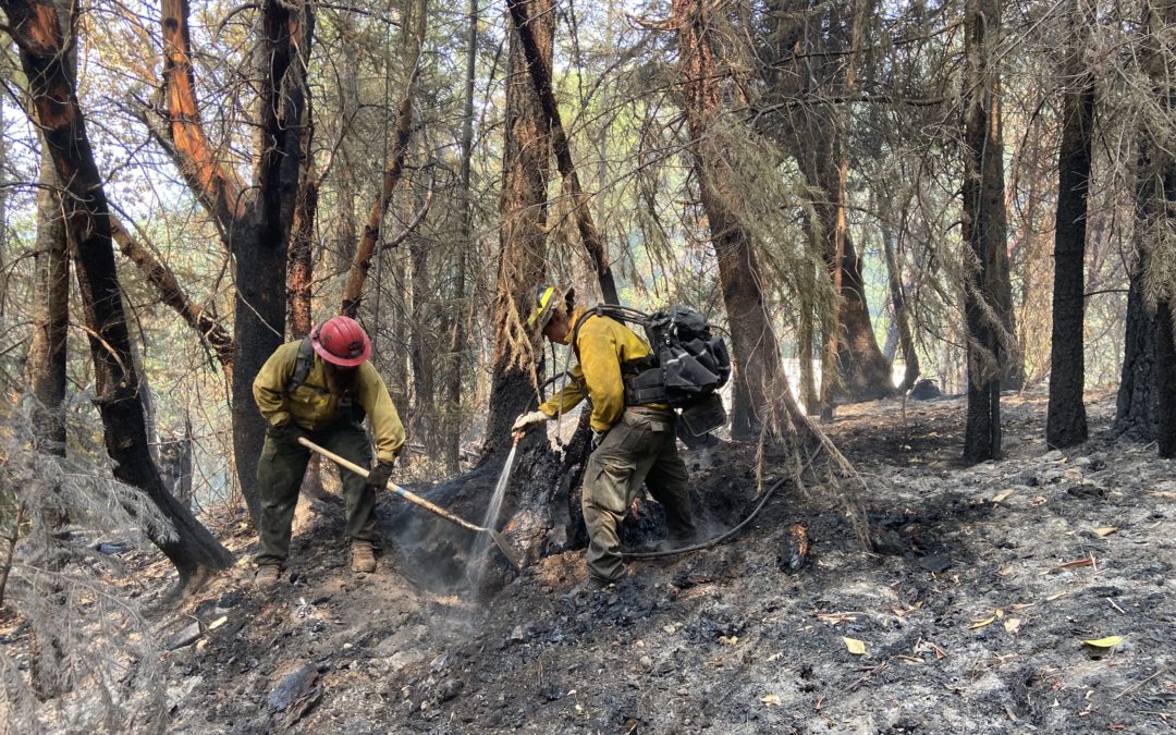 Perimeter lines on Buck Rock and Round Top fires strengthened as firefighters continue increasing containment