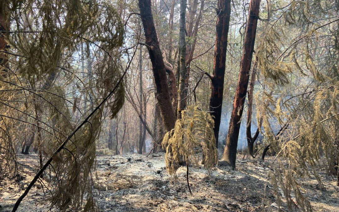 Firefighters in SW Oregon brace for windy conditions, potential thunderstorms