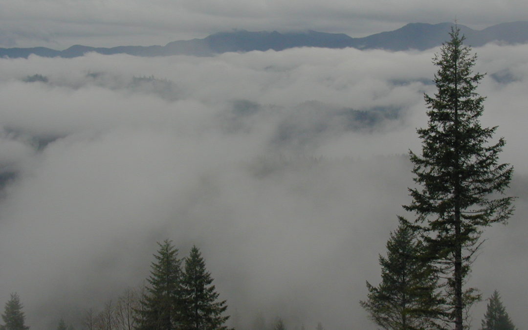 Three more ODF districts are ending their fire season Tuesday, Oct. 5