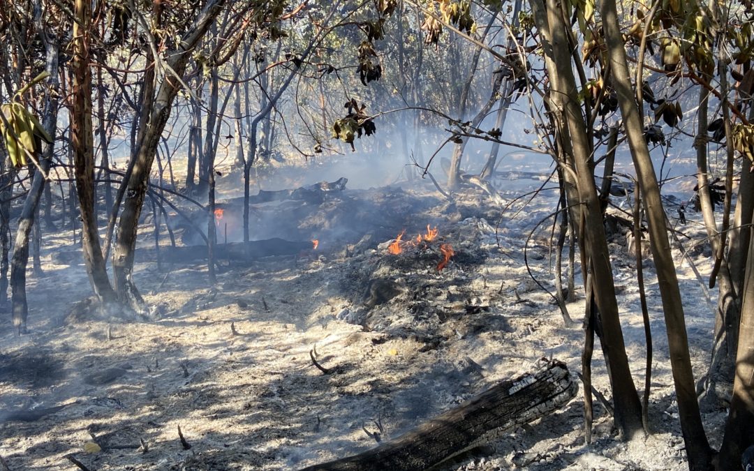 ODF’s SW Oregon District ended fire season at 9 a.m. on Wednesday, Oct. 20