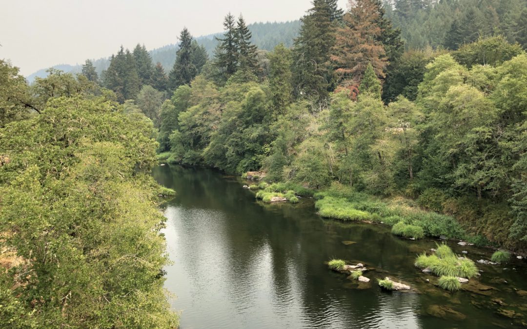 Douglas Forest Protective Association ends fire season Oct. 6 in Douglas County