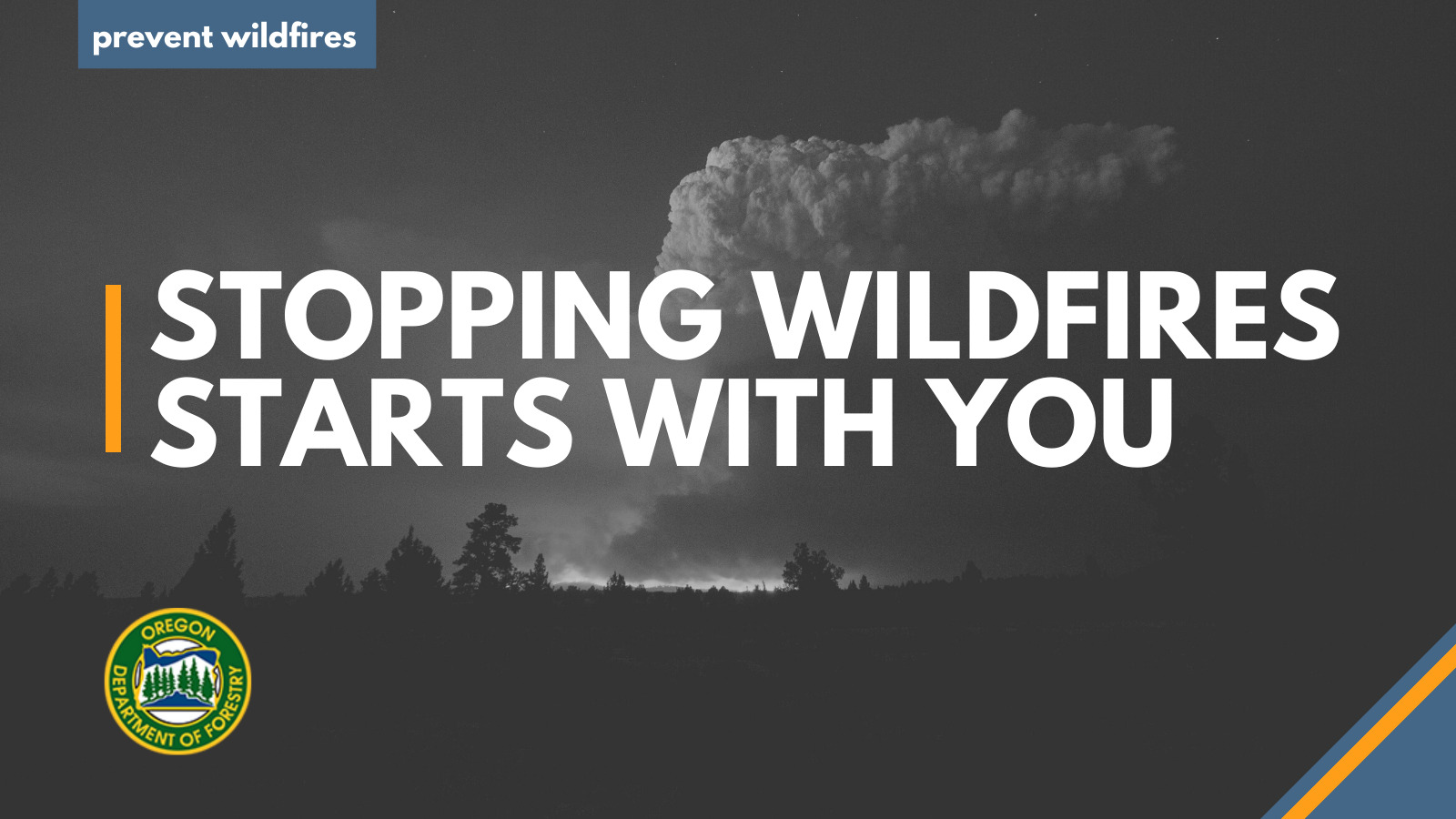 Stopping wildfires starts with you